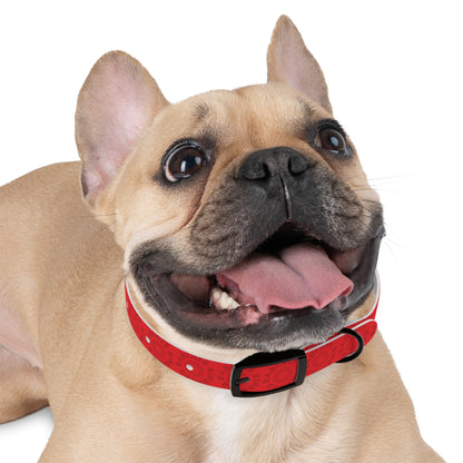 Radiate Kindness Dog Collar